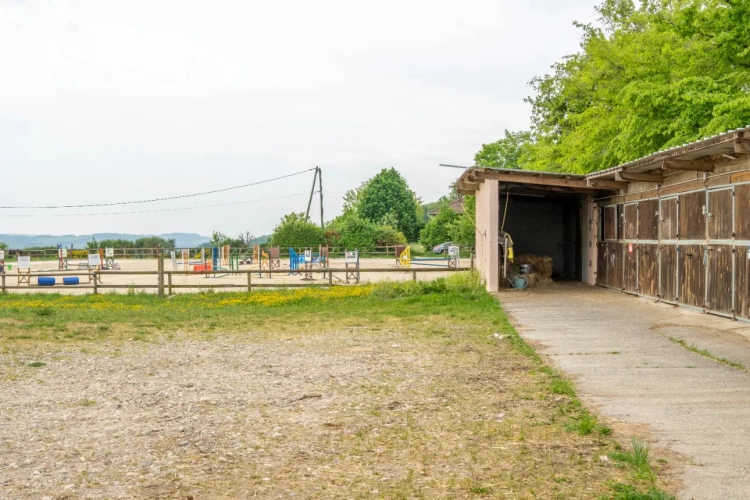 Photos 2 - Équestre - Ecurie d'élevage et de valorisation de chevaux et poneys