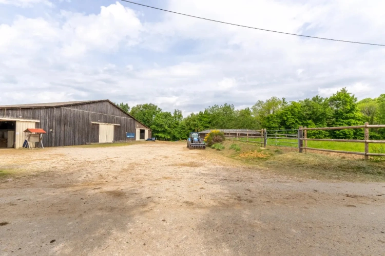 Photos 5 - Équestre - Ecurie d'élevage et de valorisation de chevaux et poneys