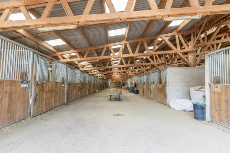 Photos 6 - Équestre - Ecurie d'élevage et de valorisation de chevaux et poneys