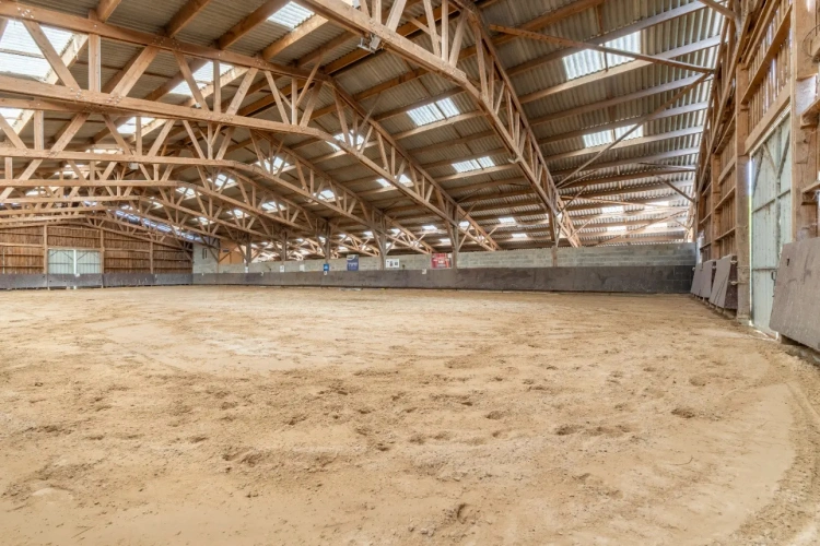 Photos 8 - Équestre - Ecurie d'élevage et de valorisation de chevaux et poneys