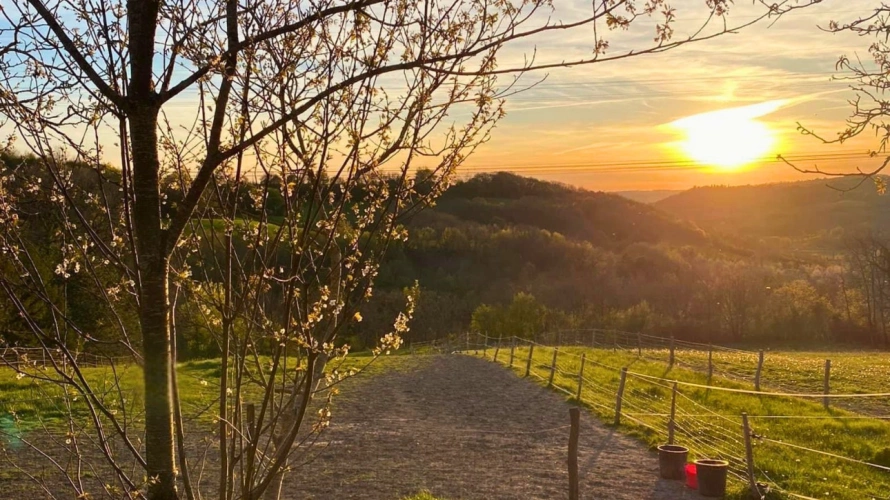 Photos 3 - Équestre - Propriété avec gîtes et installations équestres sur plus de 8,5 hectares (47)