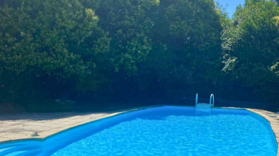 Photos 4 - Équestre - Propriété avec gîtes et installations équestres sur plus de 8,5 hectares (47)