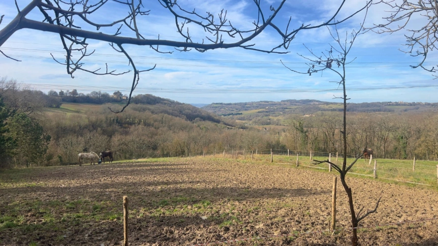 Photos 11 - Équestre - Propriété avec gîtes et installations équestres sur plus de 8,5 hectares (47)