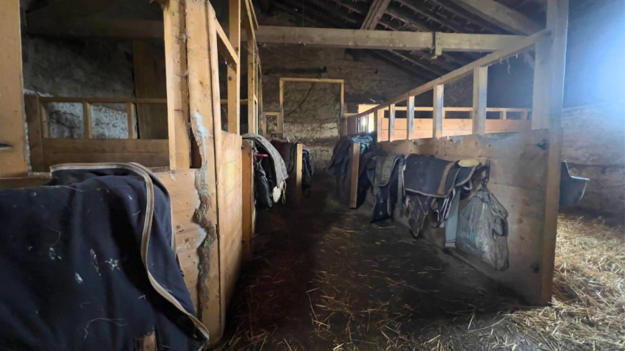 Photos 12 - Équestre - Propriété avec gîtes et installations équestres sur plus de 8,5 hectares (47)