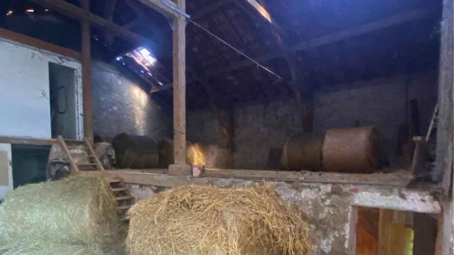 Photos 13 - Équestre - Propriété avec gîtes et installations équestres sur plus de 8,5 hectares (47)