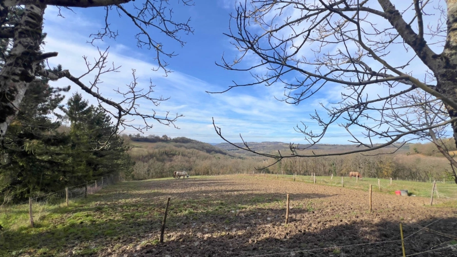 Photos 14 - Équestre - Propriété avec gîtes et installations équestres sur plus de 8,5 hectares (47)