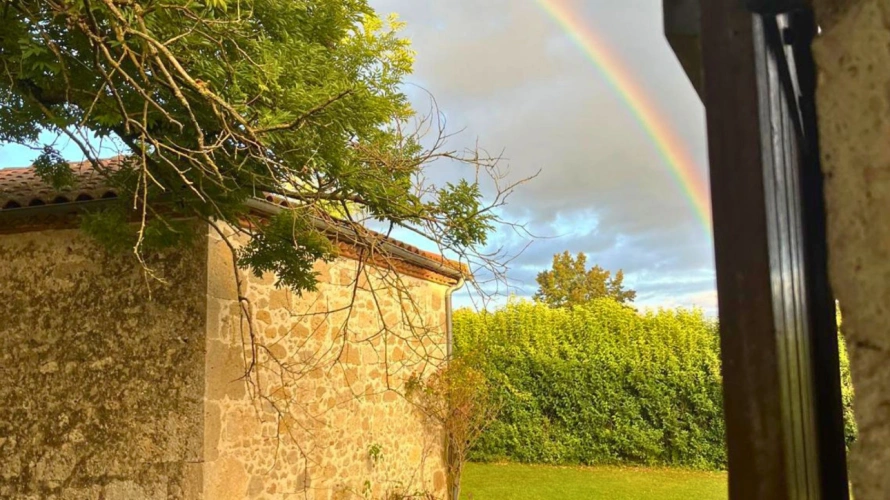 Photos 18 - Équestre - Propriété avec gîtes et installations équestres sur plus de 8,5 hectares (47)
