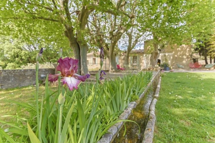 Photos 7 - Prestige - RARE : Offrez-vous une magnifique  Propriété ( mas de 10 pièces et 2.6 hectares de parc ) aux portes de SOMMIERES (30)