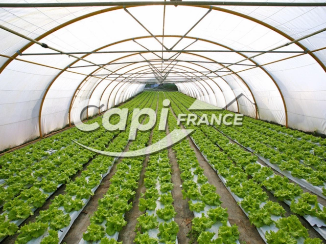 Photos 1 - Agricultural -  Ensemble agricole avec maison d’habitation – moins de 50 hectares proche de SAINT POURCAIN SUR SIOULE (03)