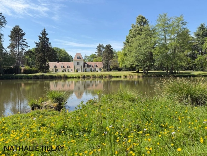 Photos 6 - Prestigious - Sologne Plateau, country estate for sale: 33-hectare park, swimming pool, tennis court, typical Solo