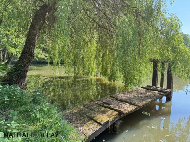 Photos 7 - Prestigious - Sologne Plateau, country estate for sale: 33-hectare park, swimming pool, tennis court, typical Solo