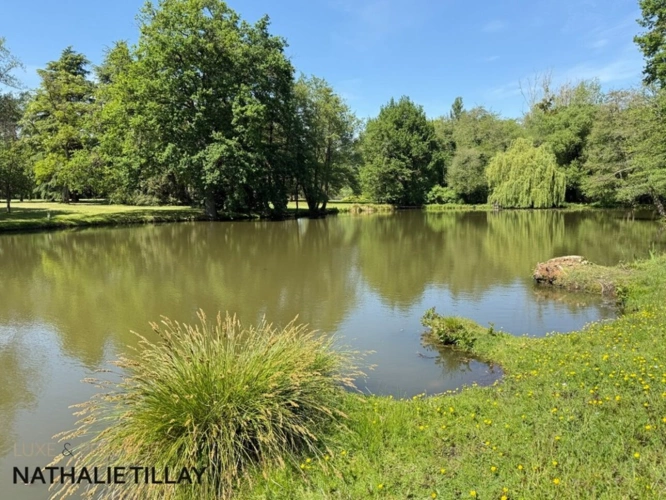 Photos 26 - Prestigious - Sologne Plateau, country estate for sale: 33-hectare park, swimming pool, tennis court, typical Solo