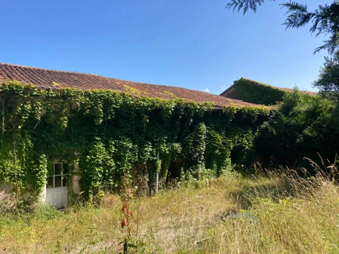 Photos 1 - Équestre - Vends corps de ferme en Dordogne - Périgord Vert - Nontron avec 5ha environ (jusqu'à 31,50 ha possible)