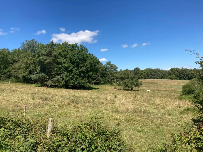 Photos 11 - Équestre - Vends corps de ferme en Dordogne - Périgord Vert - Nontron avec 5ha environ (jusqu'à 31,50 ha possible)