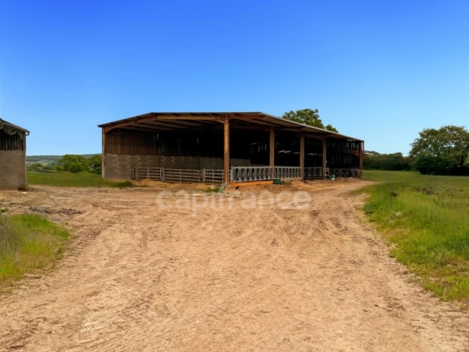Photos 3 - Prestige - Propriete à vendre 2 pièces JONCY (71)