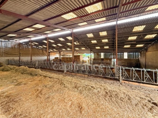Photos 4 - Prestige - Propriete à vendre 2 pièces JONCY (71)