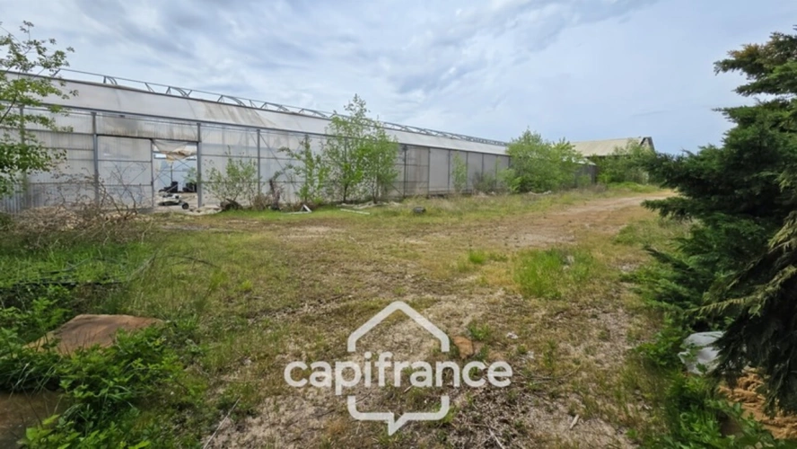 Photos 2 - Rurale - VENTE TERRAIN 24 893 M²  (71)