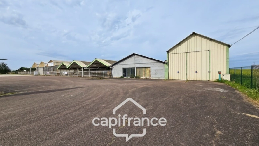 Photos 3 - Rurale - VENTE TERRAIN 24 893 M²  (71)