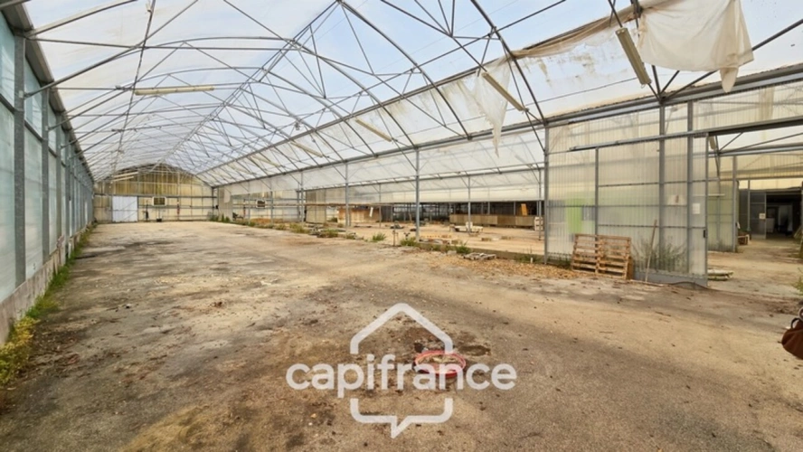 Photos 4 - Rurale - VENTE TERRAIN 24 893 M²  (71)