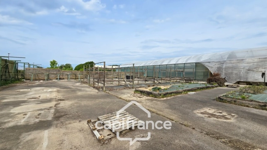Photos 5 - Rurale - VENTE TERRAIN 24 893 M²  (71)
