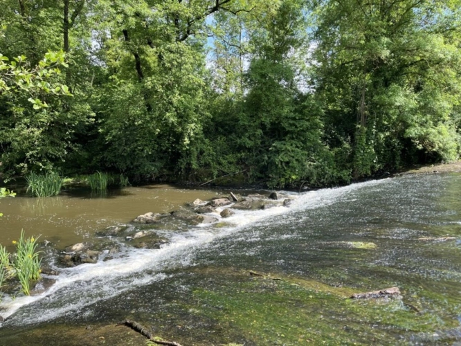 Photos 2 - Prestige - Propriété Moulin à 422 m² ROCHESERVIERE (85)