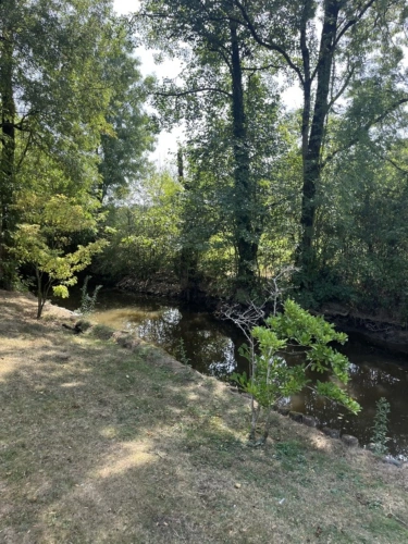 Photos 6 - Prestige - Propriété Moulin à 422 m² ROCHESERVIERE (85)