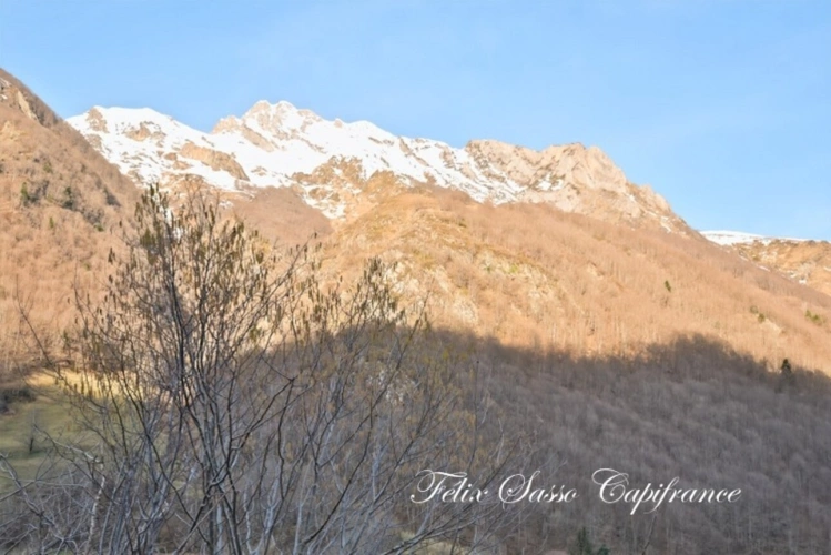 Photos 13 - Rurale - ESTAING (65), grange à rénover avec vue panoramique au coeur d'une vallée authentique
