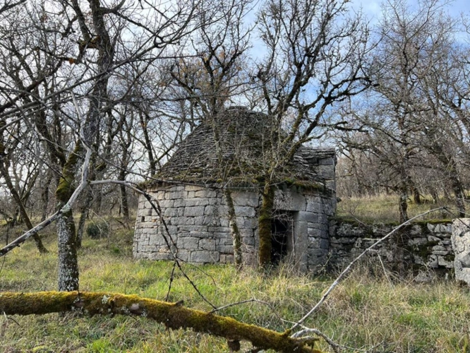 Photos 16 - Agricole - Vallée du Célé, hameau sur 94 hectares dont un enclos de 77 ha
