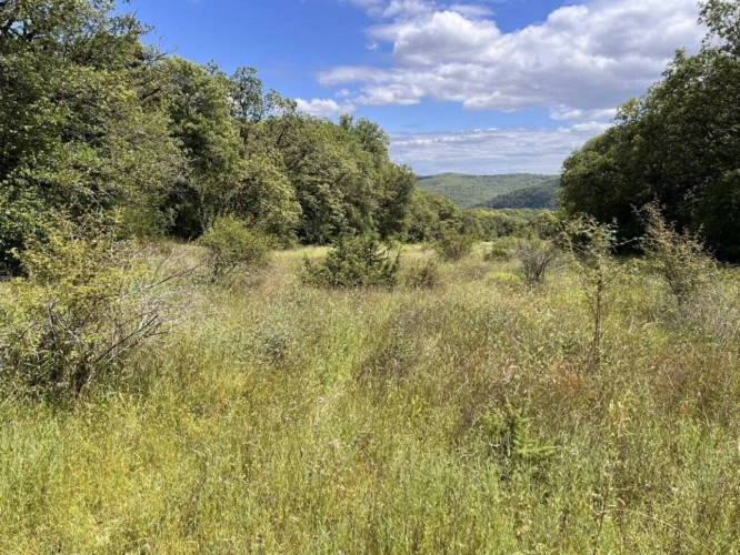 Photos 15 - Prestige - Vallée du Célé, domaine sur 92 hectares dont 77 ha clos