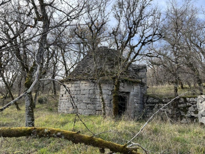 Photos 16 - Prestige - Vallée du Célé, domaine sur 92 hectares dont 77 ha clos