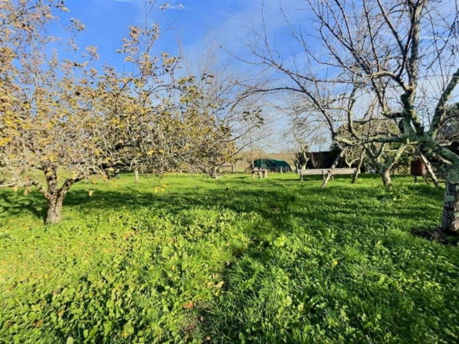 Photos 3 - Rurale - Un domaine d'exception au coeur de la Dordogne
