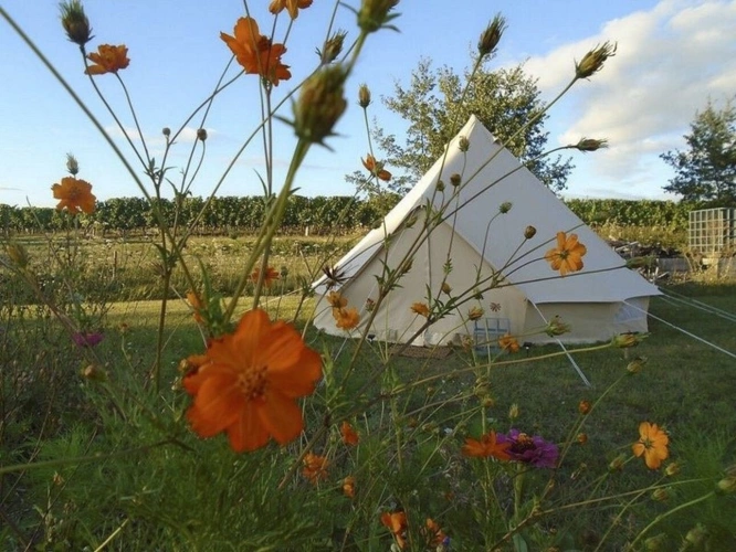 Photos 13 - Rurale - Un domaine d'exception au coeur de la Dordogne
