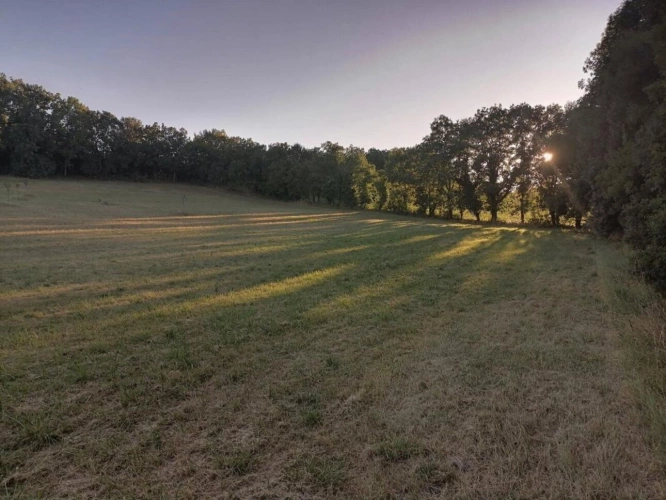 Photos 17 - Prestige - Propriété de caractère avec dépendances et piscine (Lot 46)