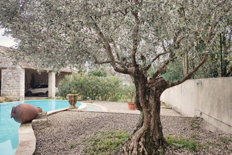 Photos 8 - Rurale - Demeure de charme avec piscine et dépendances