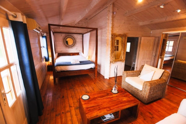 Photos 10 - Forestière - L'ÉCRIN DE SABLONS : UN SANCTUAIRE PRIVÉ AUX PORTES DE SAINT-ÉMILION