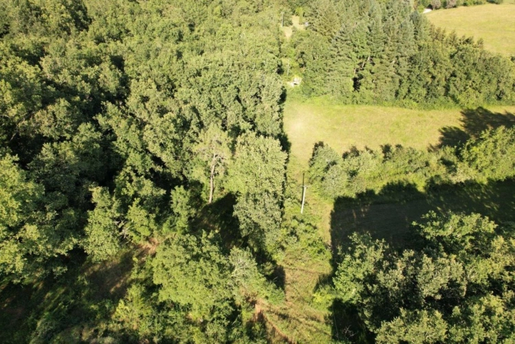 Photos 7 - Prestige - Propriété - Puy Levêque
