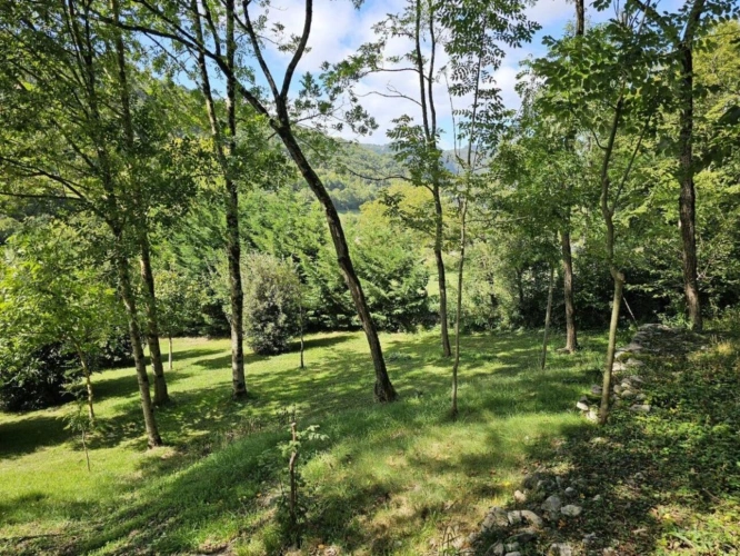 Photos 17 - Touristique - Propriété avec dépendances et parc paysagé