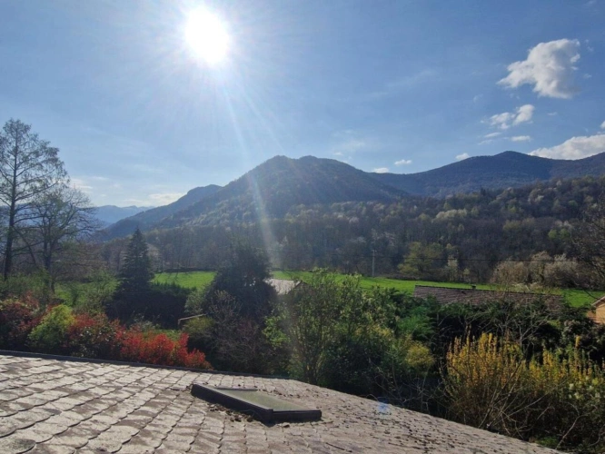 Photos 10 - Prestige - Maison de caractère avec gîte et dépendance
