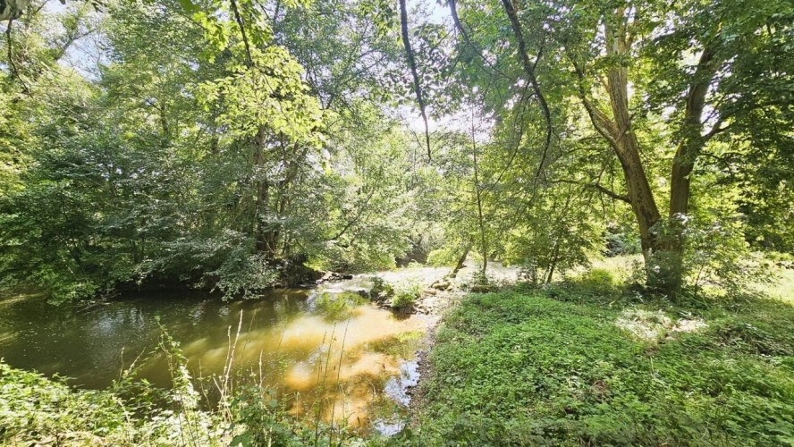 Photos 10 - Touristique - Ancien moulin à eau XVIIe,oasis de charme dans campagne cordaise