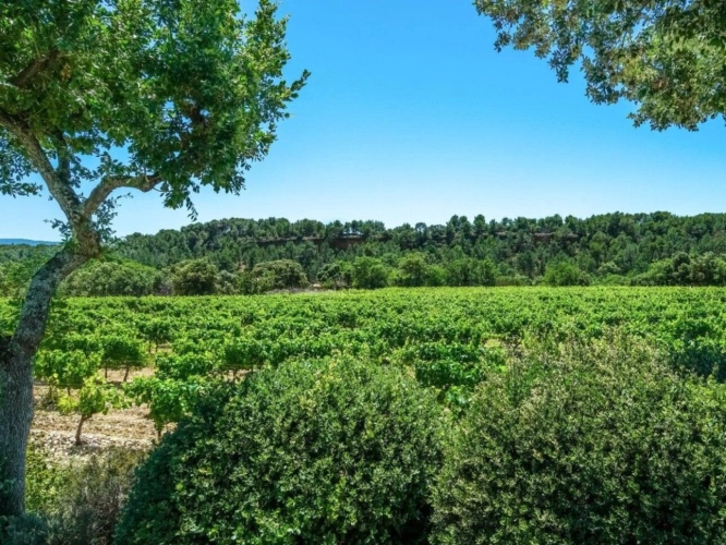Photos 9 - Prestige - Maison de campagne avec piscine + 2 gîtes chacun avec basin privatif