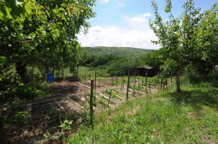 Photos 3 - Rurale - Maison de campagne avec gite et appartement - 265 m² - piscine - 1,5 ha - Vaour (Tarn)