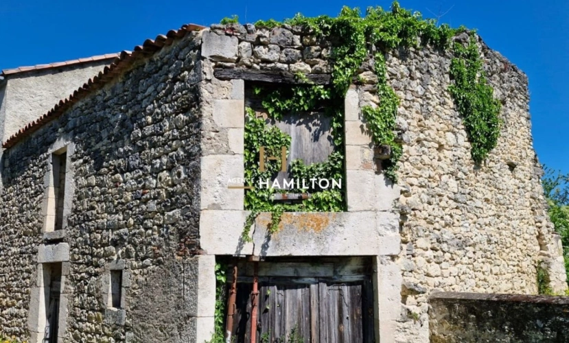 Photos 17 - Touristique - CHARME ET AUTHENTICITE AUX PORTES DE LA CITE MEDIEVALE DE CORDES-SUR-CIEL