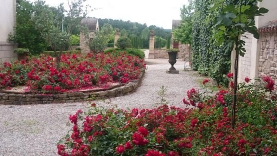 Photos 17 - Prestige - CHATEAU, SALLES DE RECEPTION ET HOTEL - PARC 2,5HA - ALBI