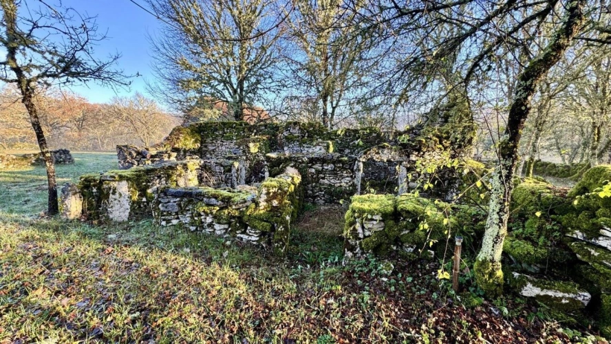 Photos 9 - Rurale - Maison + piscine + dépendance + 4ha