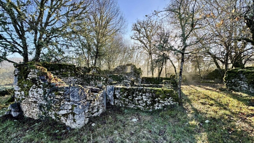 Photos 12 - Rurale - Maison + piscine + dépendance + 4ha