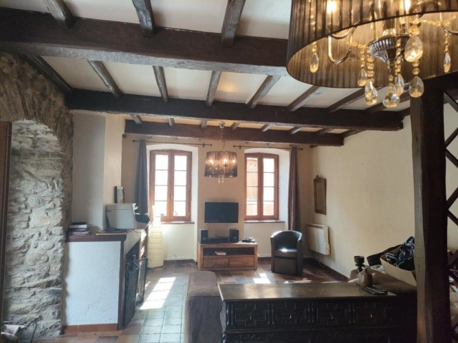 Photos 6 - Prestige - Grande maison de village du 18 ° avec jardin
