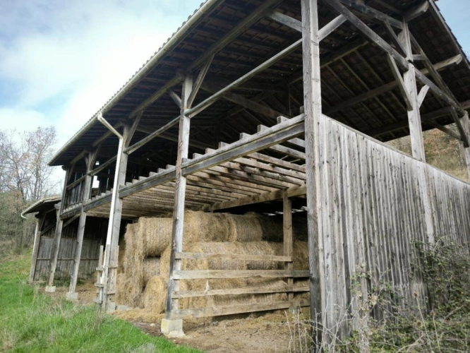 Photos 4 - Rurale - Mirepoix 10 ' . calme 39 ha , maison bio climatique