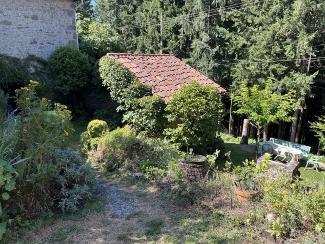 Photos 15 - Rurale - Maison de campagne avec grange et châtaigneraie - 3ha