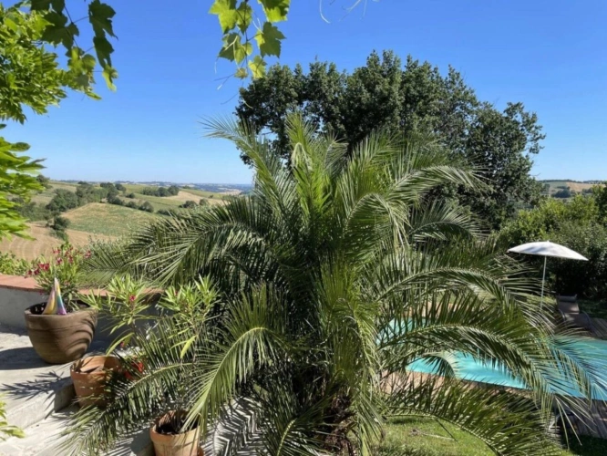 Photos 14 - Prestige - Maison de maître avec 6 chambres, piscine, jardin et vue panoramique