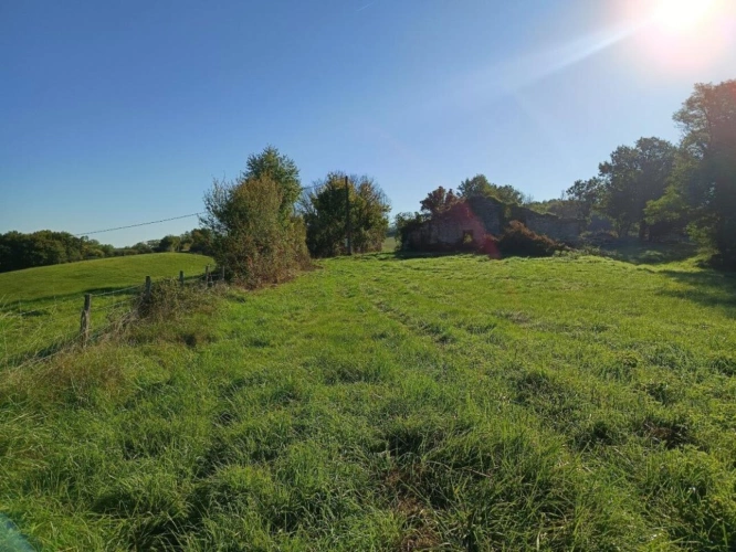 Photos 2 - Agricole - Terrain de 9582m²